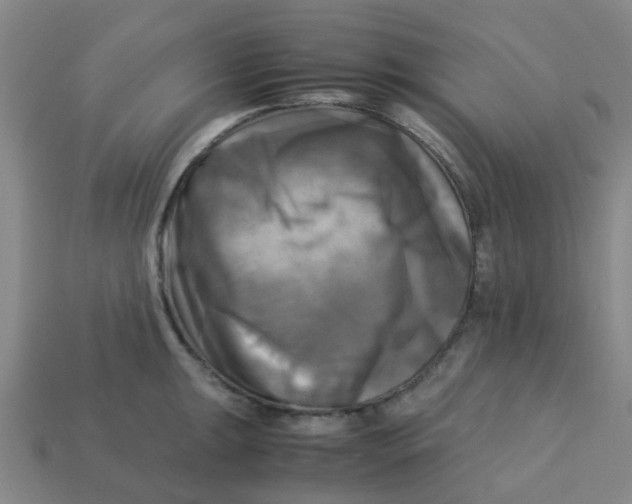 X0000113251047200910081315