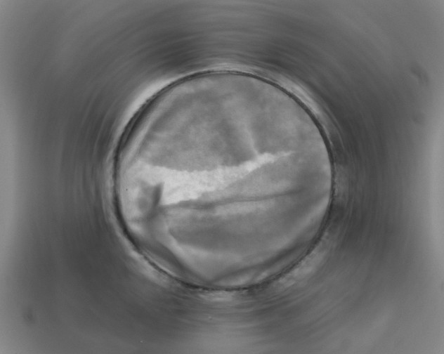 X0000113251048200910081315