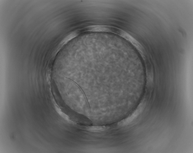 X0000113251049200910081315