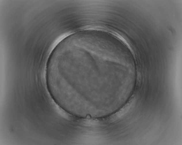 X0000113251050200910081315