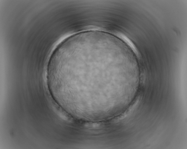 X0000113251051200910081315