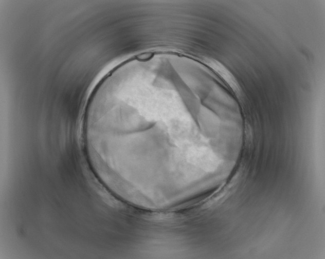 X0000113251052200910081315