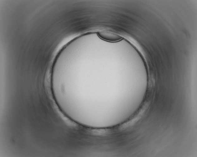 X0000113251053200910081315