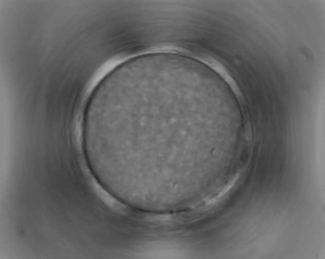 X0000113251054200910081315