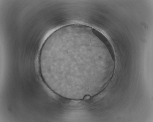 X0000113251056200910081315