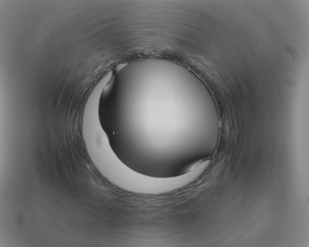 X0000113251060200910081314