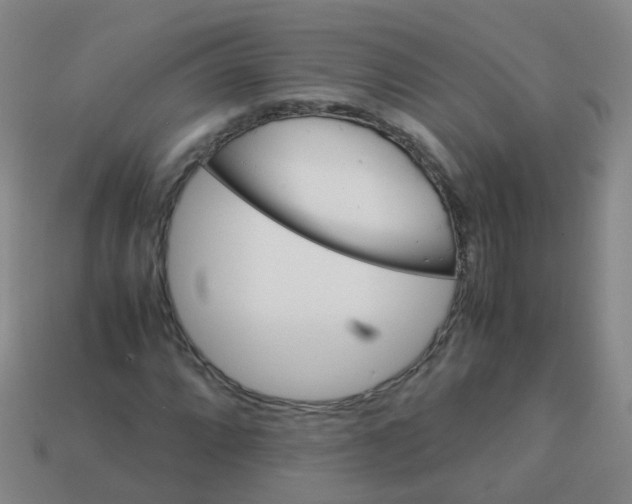 X0000113251064200910081314