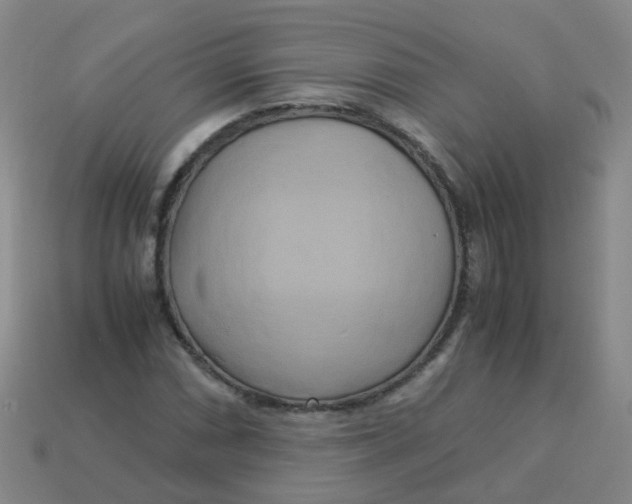 X0000113251066200910081314