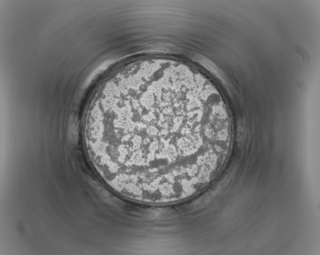 X0000113251067200910081314