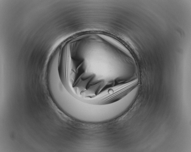 X0000113251072200910081314