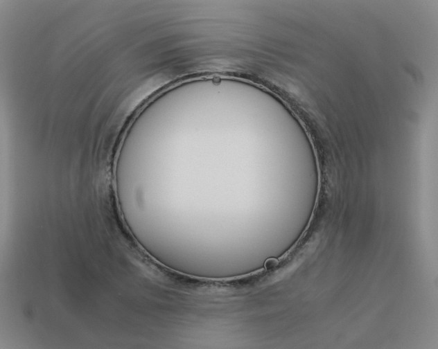 X0000113251073200910081314