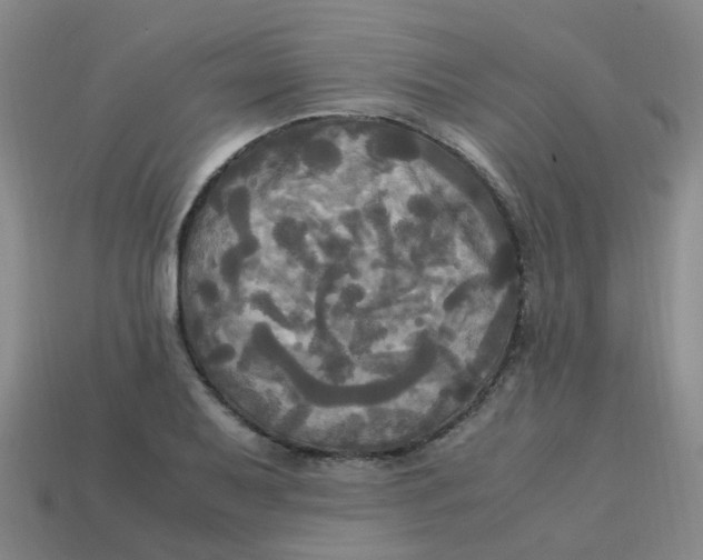 X0000113251079200910081314