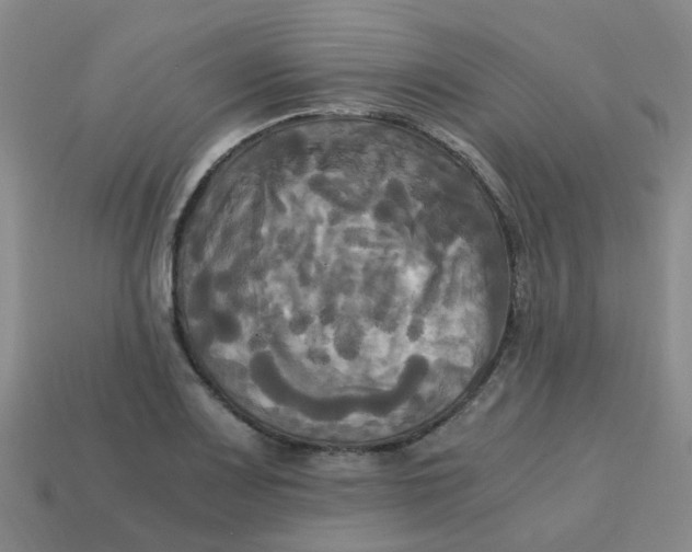 X0000113251083200910081314