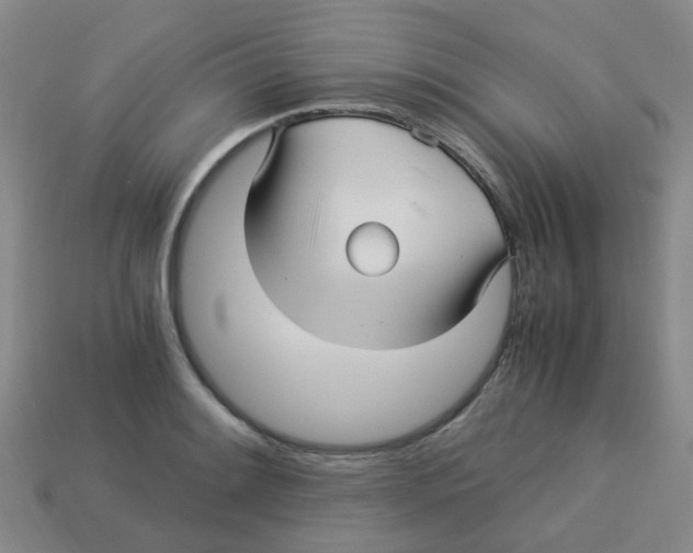 X0000113251084200910081314