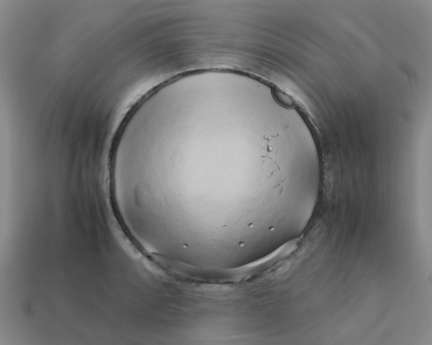 X0000113251088200910081314