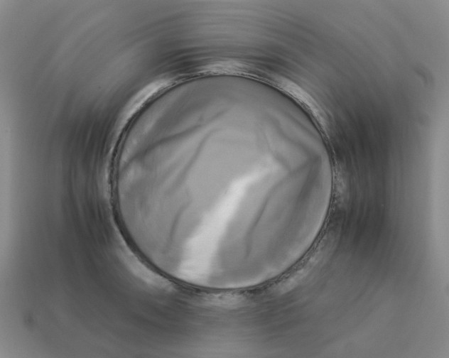 X0000113251090200910081314