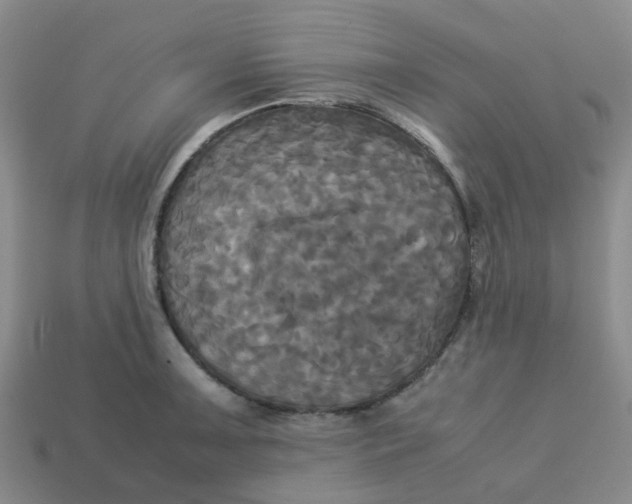 X0000113251091200910081314