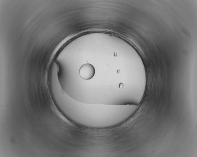 X0000113251092200910081314