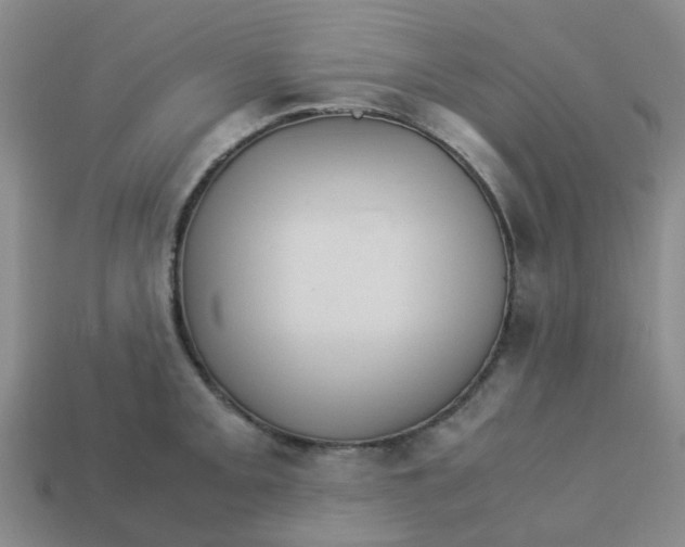 X0000113251093200910081314