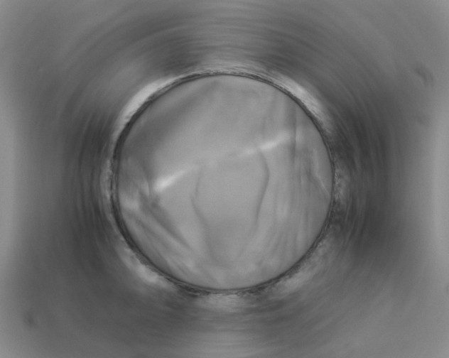 X0000113251094200910081314