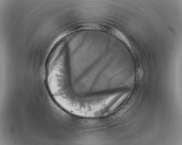 X0000113251095200910081314