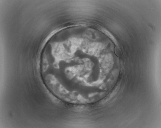 X0000113251099200910081313