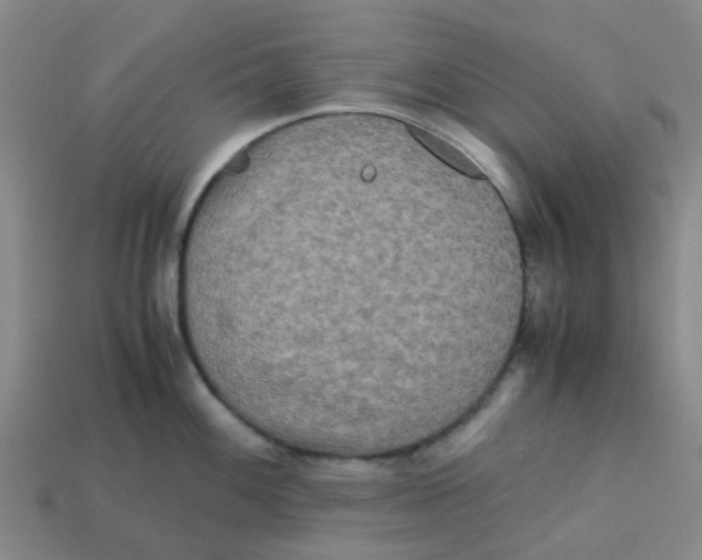 X0000113251100200910081313