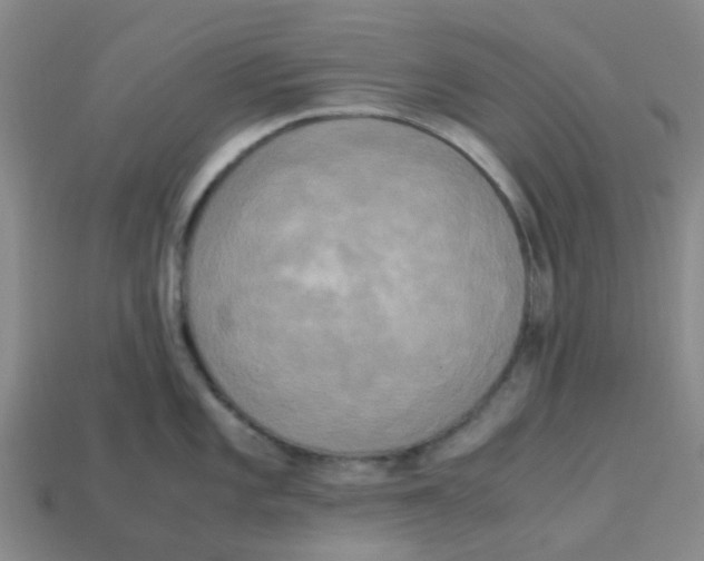 X0000113251101200910081313