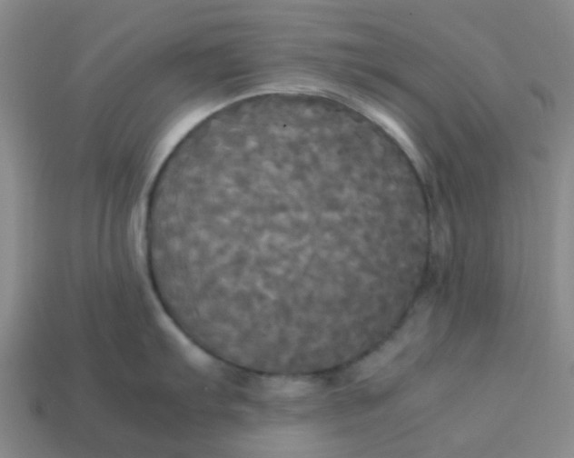 X0000113251103200910081313