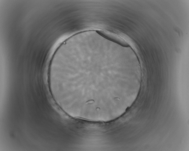 X0000113251104200910081313