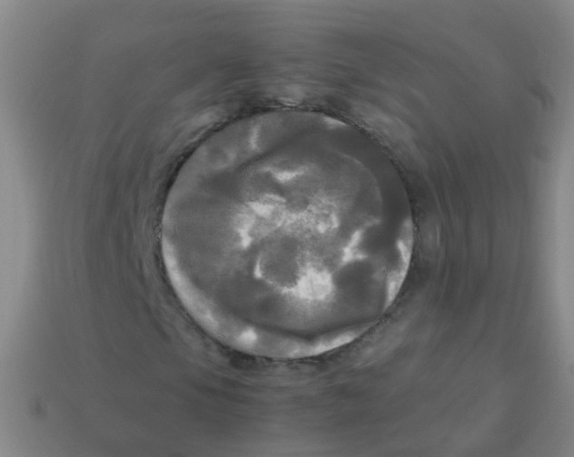 X0000113251105200910081313