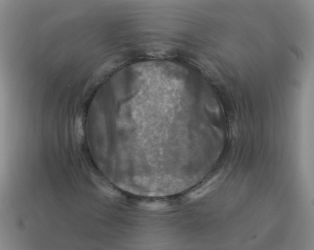 X0000113251106200910081313