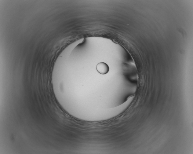 X0000113251108200910081313