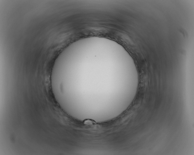 X0000113251109200910081313