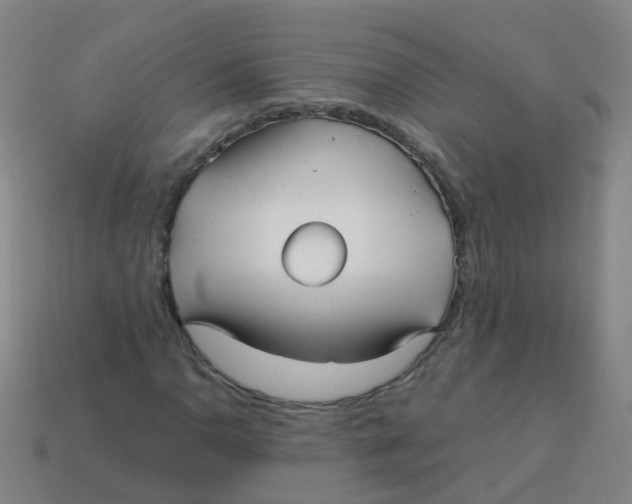 X0000113251110200910081313