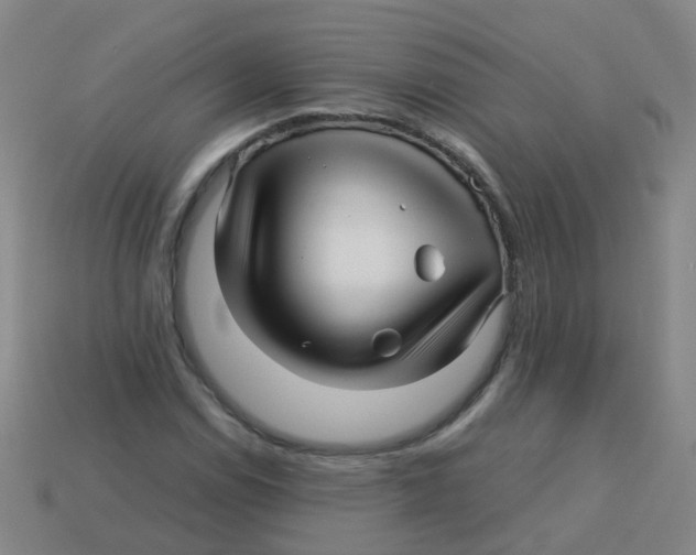 X0000113251114200910081313