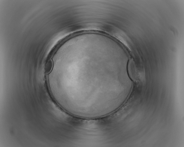 X0000113251116200910081313