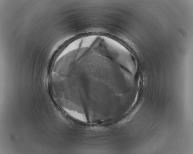 X0000113251117200910081313