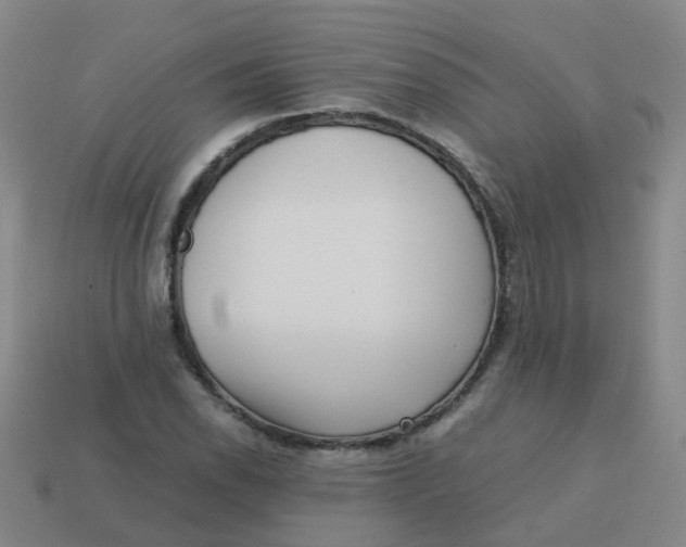 X0000113251118200910081313