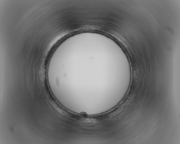 X0000113251119200910081313