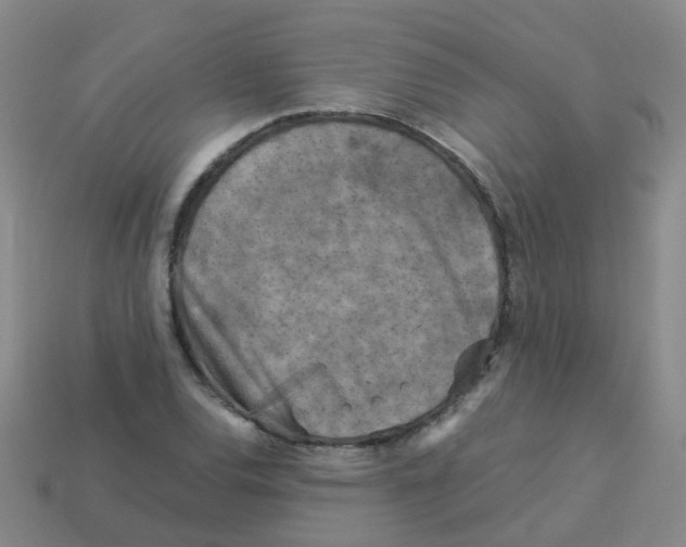 X0000113251120200910081313