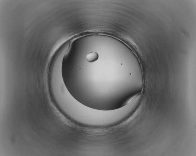 X0000113251122200910081313