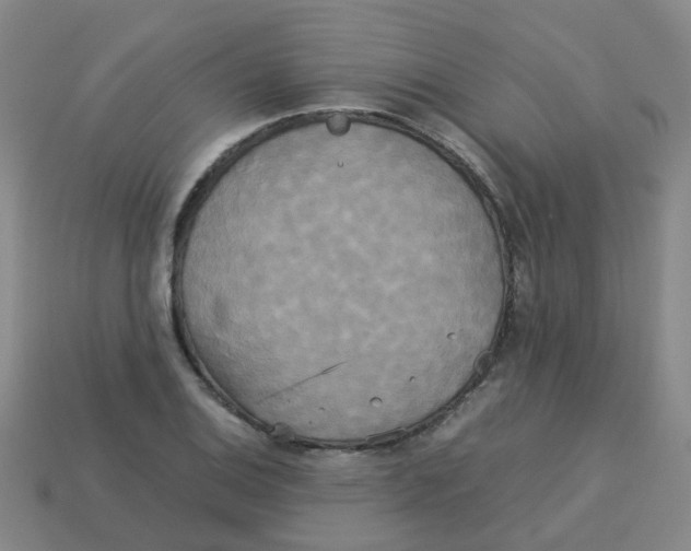 X0000113251124200910081313