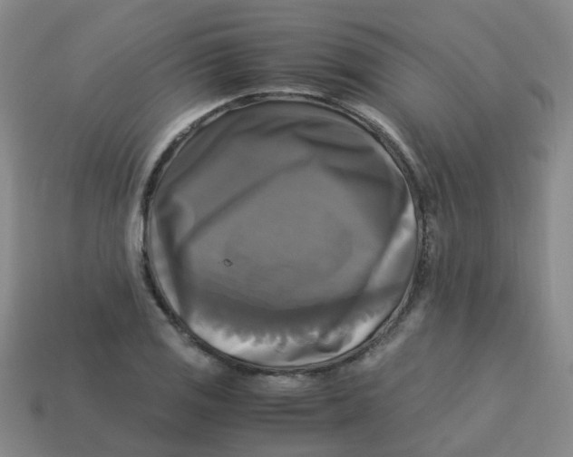 X0000113251125200910081313