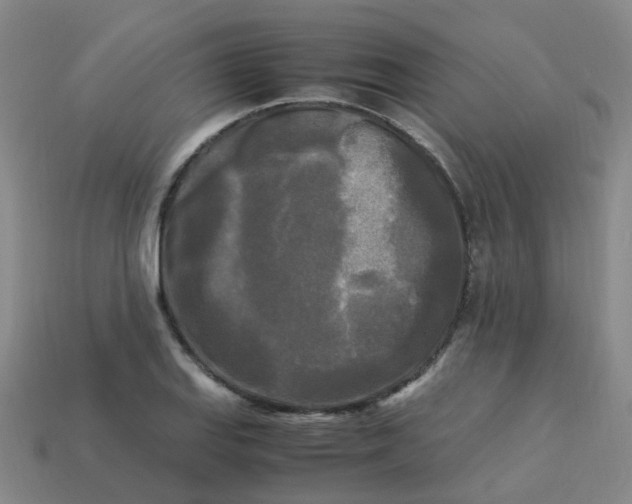 X0000113251127200910081313