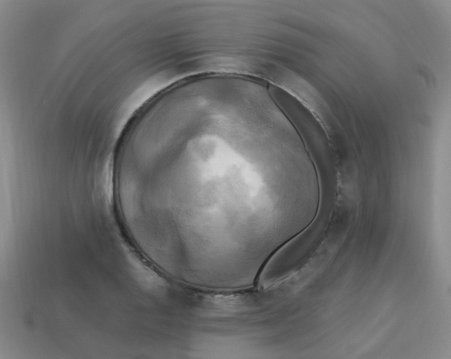 X0000113251128200910081313