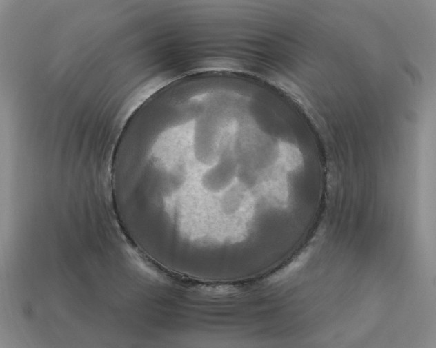 X0000113251129200910081313