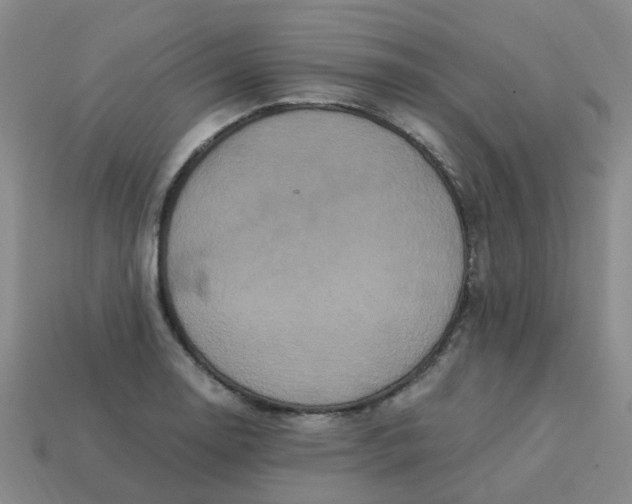 X0000113251130200910081313