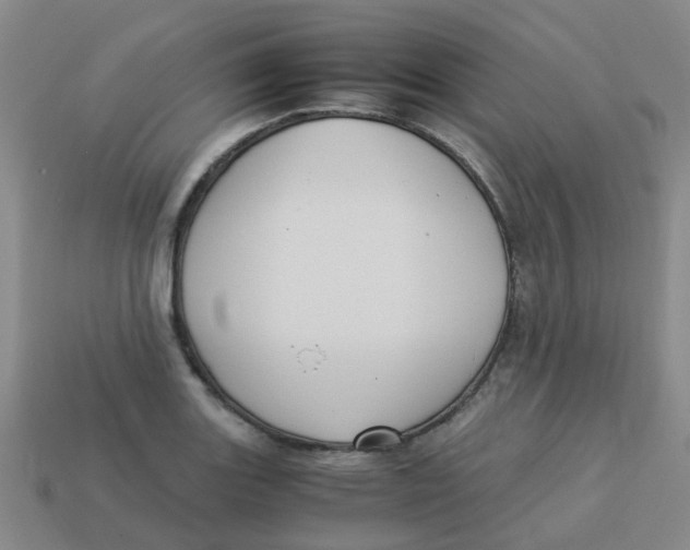 X0000113251131200910081313