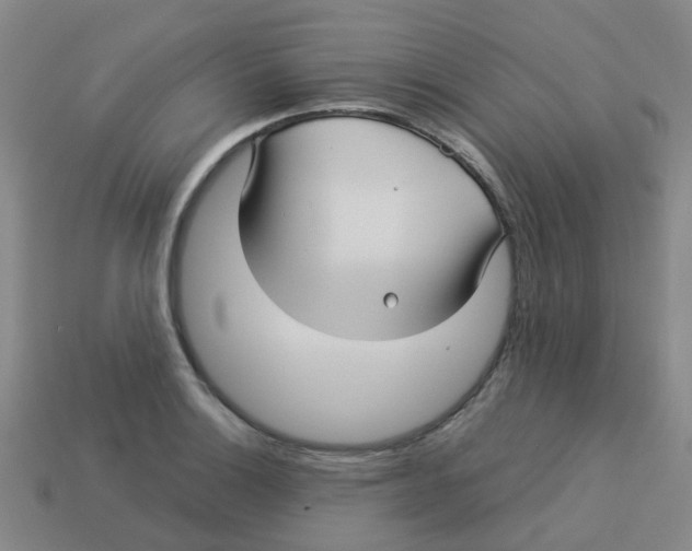 X0000113251132200910081313